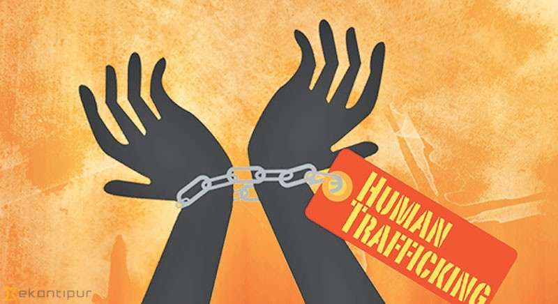 Domestic Violence and Human Trafficking